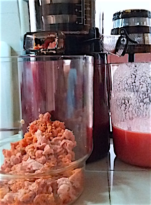 Review Slow Juicer Hurom HY EBE11 Cakefever.com