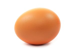 telur