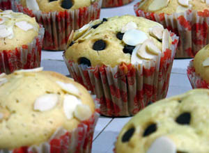 Muffin Wilton