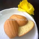 madeleine