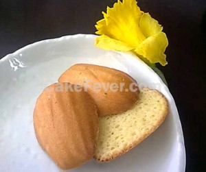 Madeleine 