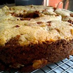 apple_cake_allrecipes_cakefever