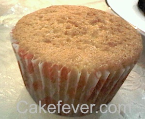 Resep Vanilla Cupcake Magnolia Resep Vanilla Cupcake Magnolia