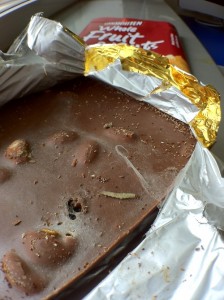 Ulat Hidup dalam Coklat Van Houten Ulat Hidup dalam Coklat Van Houten
