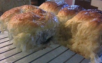 rotidisobek