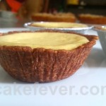 Cheese Tart a.k.a Blueberry Cheese Cake in a cup Cheese Tart a.k.a Blueberry Cheese Cake in a cup