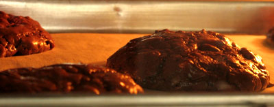Pennylane Cookies Mengembang di dalam Oven